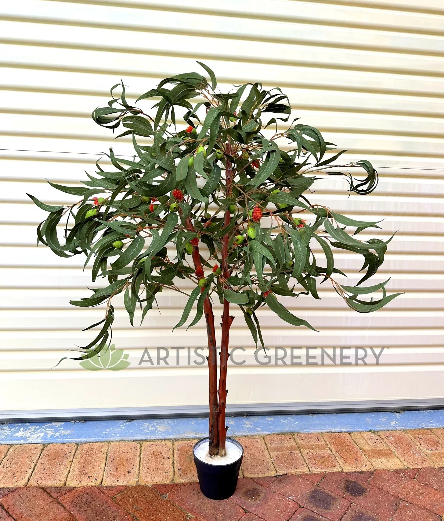 CT008 Gum Blossom Tree 120cm