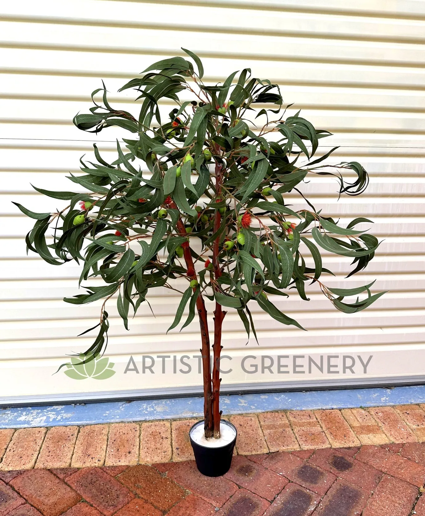 CT008 Gum Blossom Tree 120cm