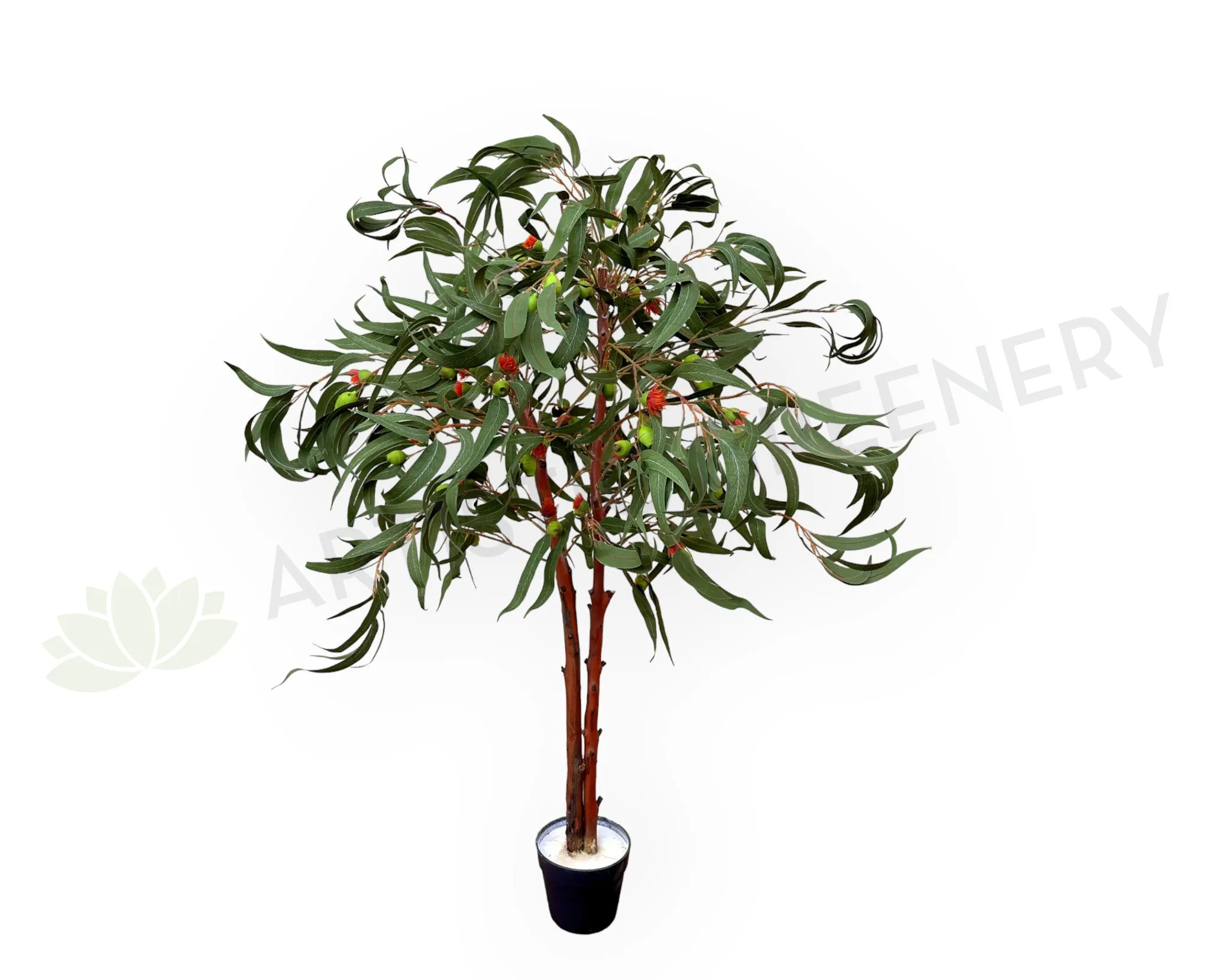 CT008 Gum Blossom Tree 120cm