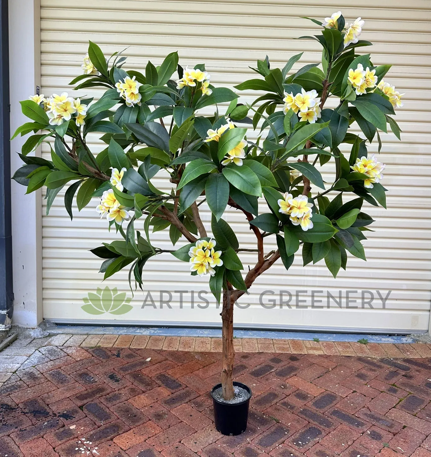 CT009B Frangipani Tree 185cm Tall