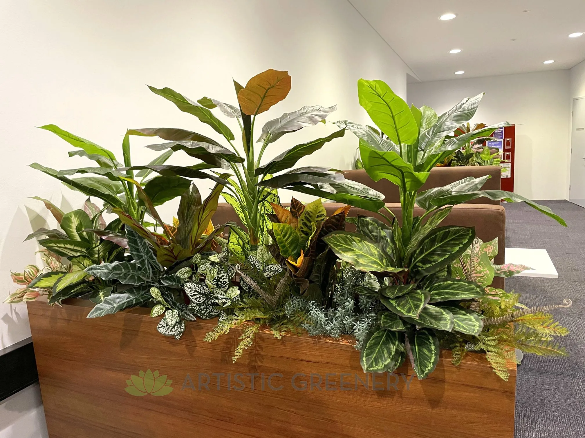 Edith Cowan University (ECU) Joondalup - Building 19 Lobby area- Artificial Plants for Built-in Cabinets / Planters