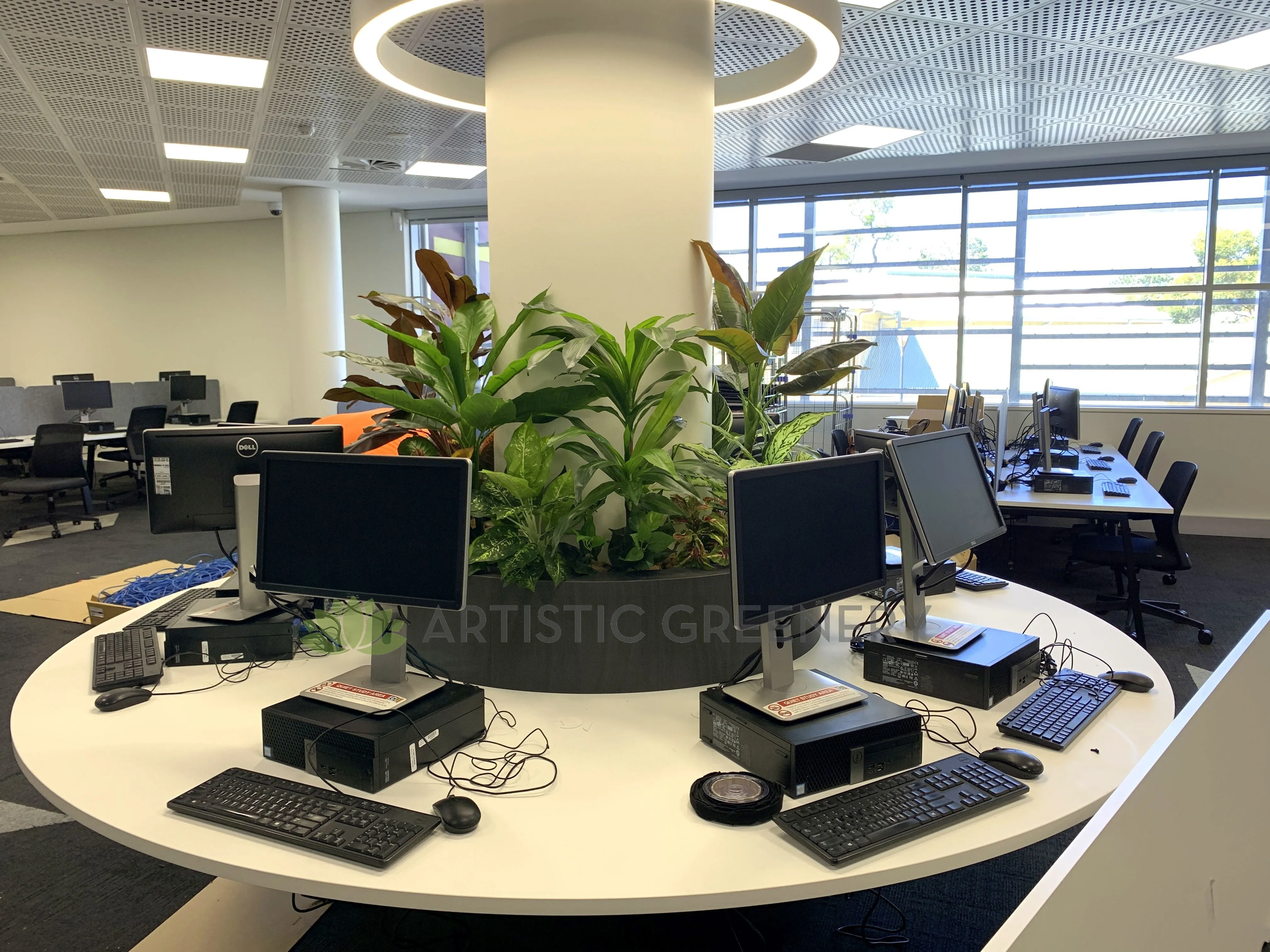 Edith Cowan University (ECU) Joondalup Campus Library - Artificial Plants for Built-in Cabinets / Planters