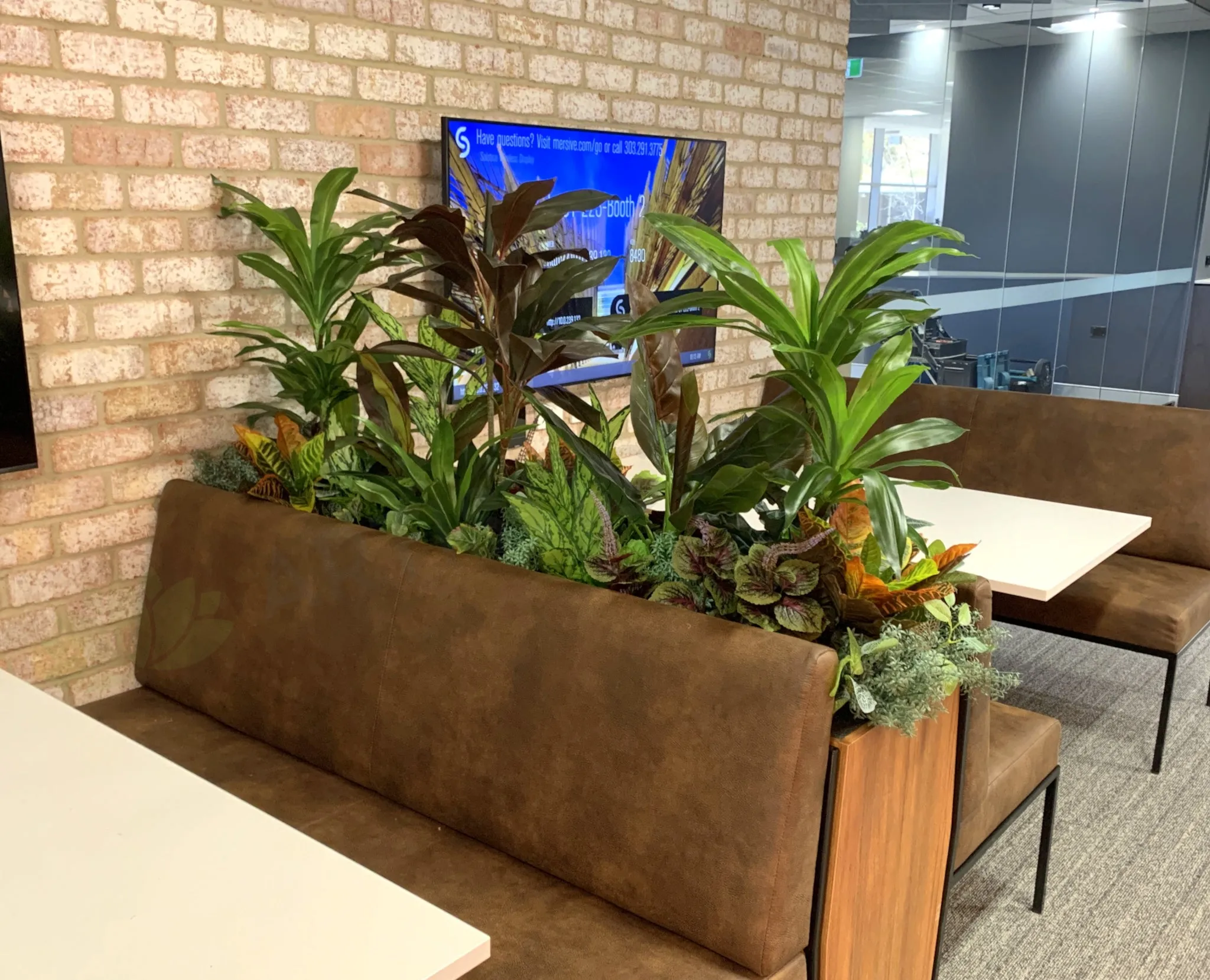 Edith Cowan University (ECU) Joondalup Campus Library - Artificial Plants for Built-in Cabinets / Planters