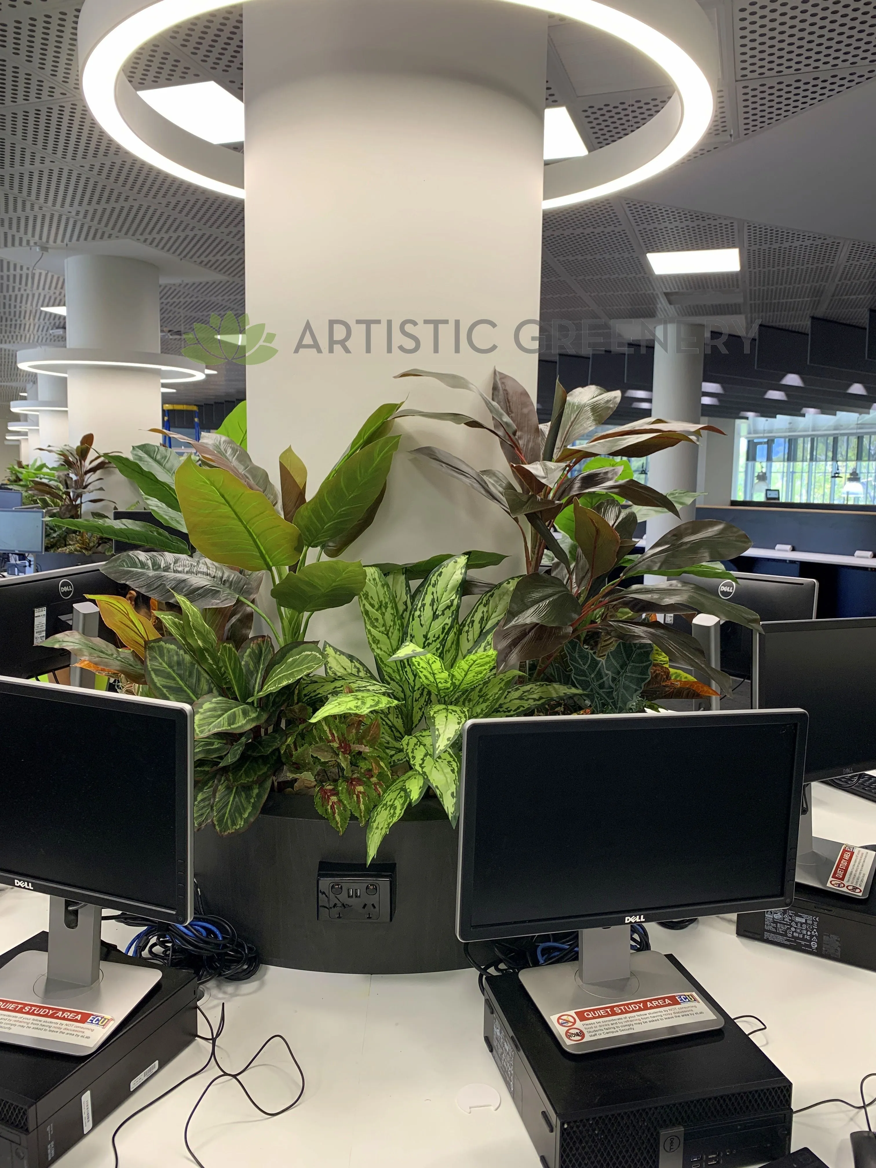 Edith Cowan University (ECU) Joondalup Campus Library - Artificial Plants for Built-in Cabinets / Planters