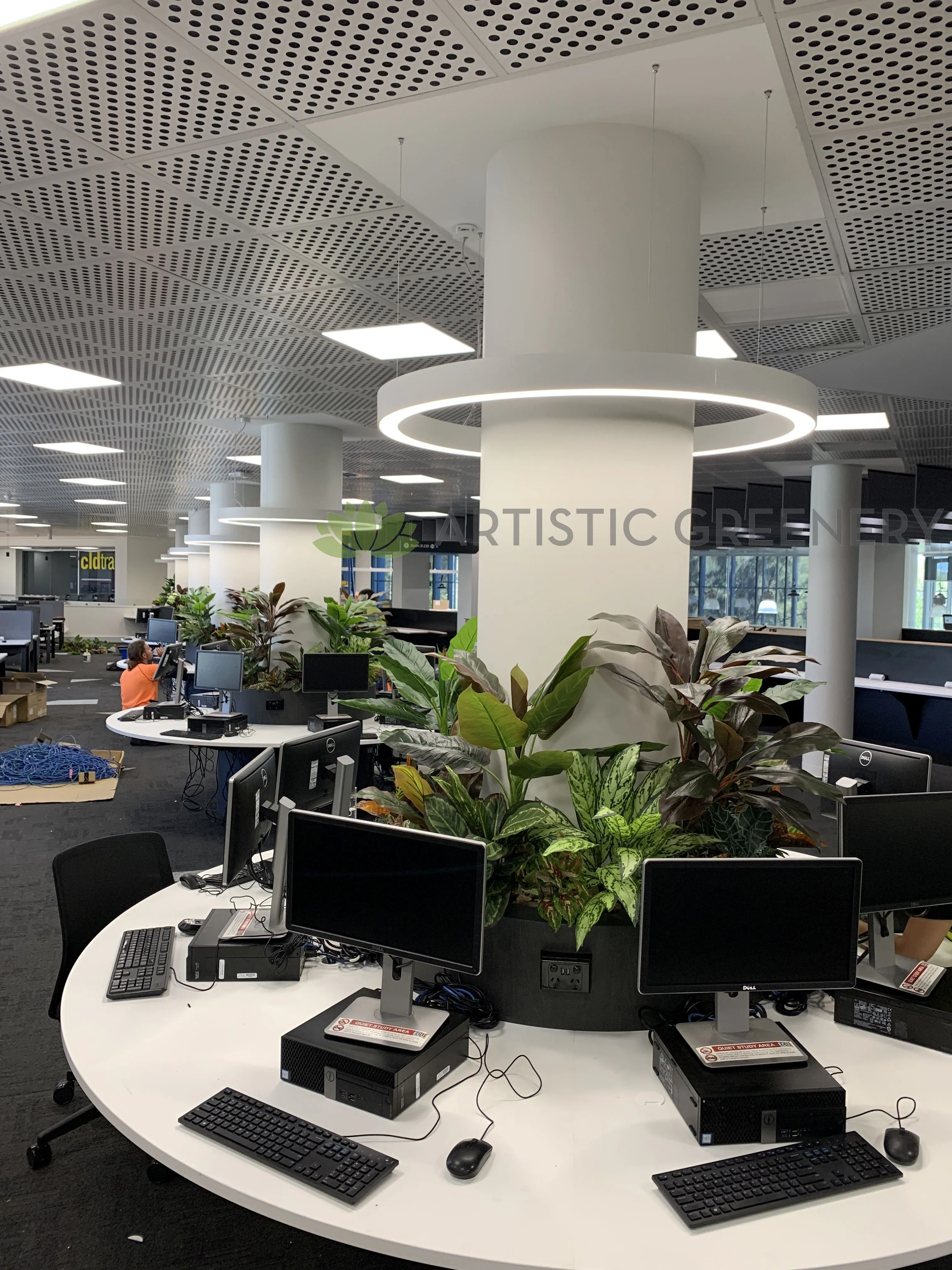 Edith Cowan University (ECU) Joondalup Campus Library - Artificial Plants for Built-in Cabinets / Planters