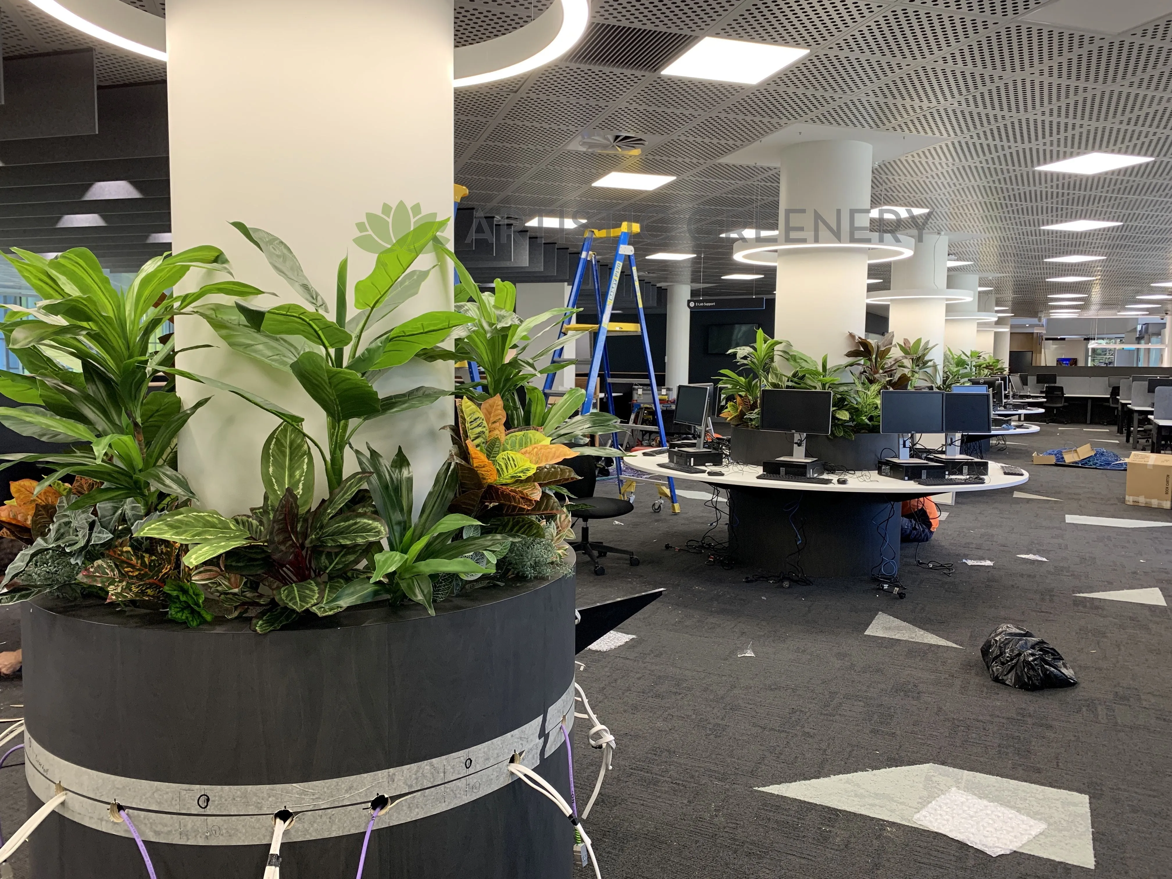 Edith Cowan University (ECU) Joondalup Campus Library - Artificial Plants for Built-in Cabinets / Planters